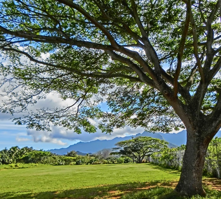 Kaha Park (Kailua,&nbspHI)